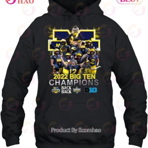 Michigan 2022 Big Ten Champions Back Back Unisex T-Shirt