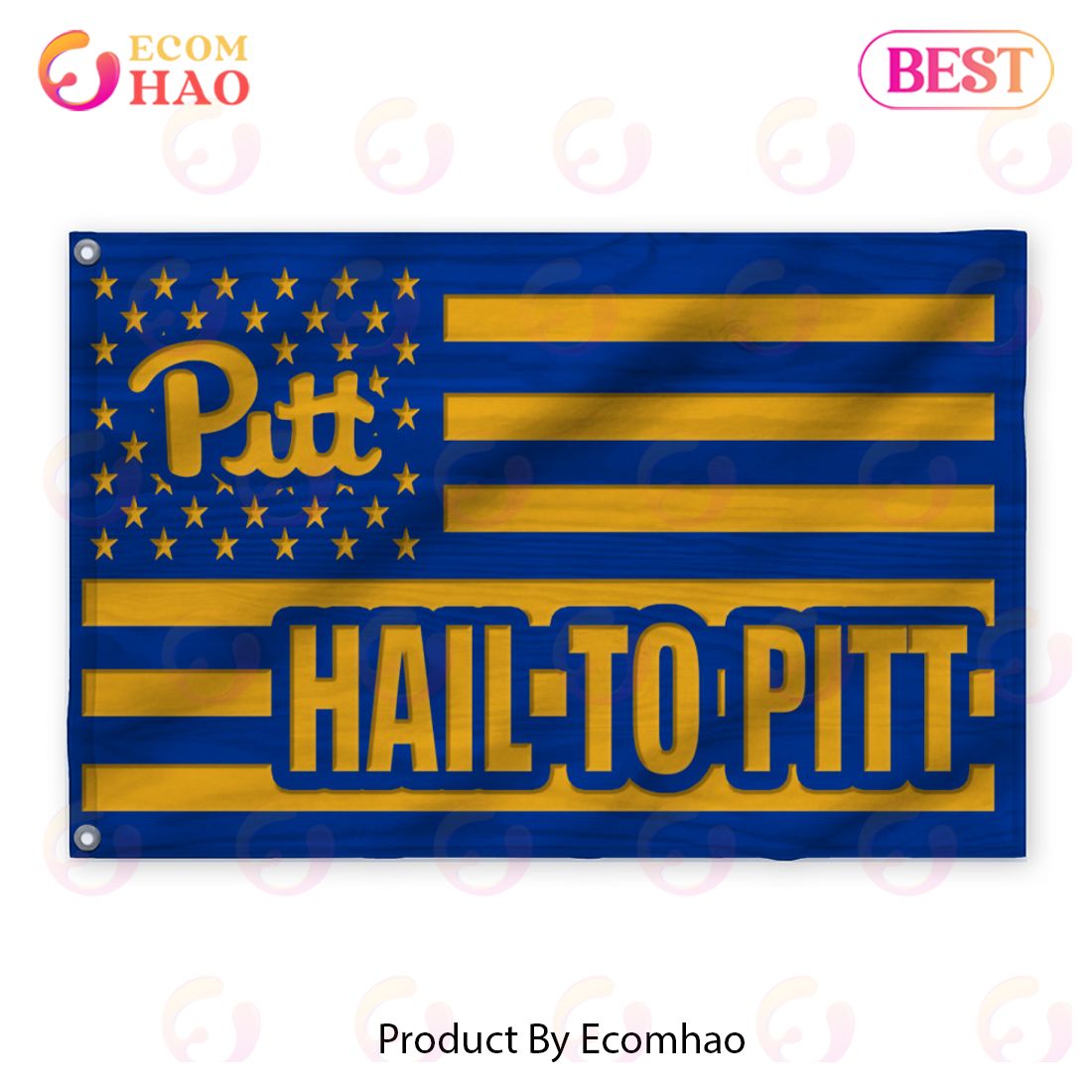 Us Football Pittsburgh Panthers Flag 3D