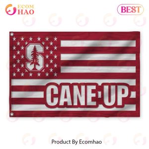 Us Football Stanford Cardinal Flag 3D