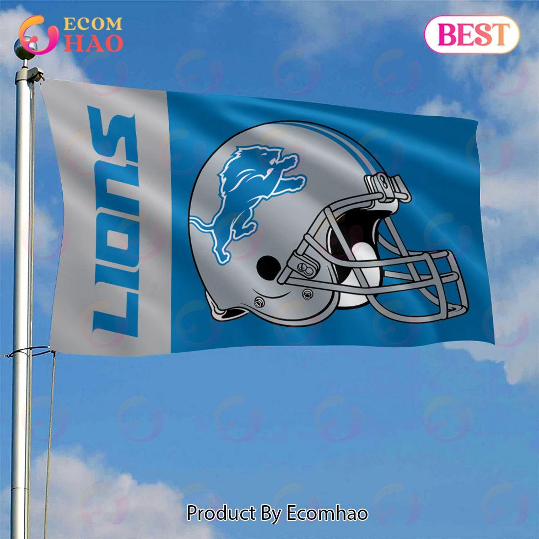NFL Detroit Lions Classic Style Flag