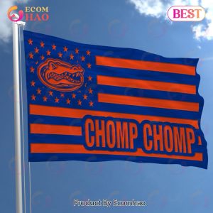 NCAA Florida Gators Flag Perfect Gift