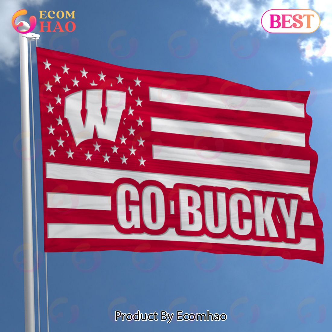 NCAA Wisconsin Badgers Flag Perfect Gift