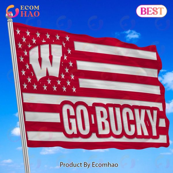 NCAA Wisconsin Badgers Flag Perfect Gift