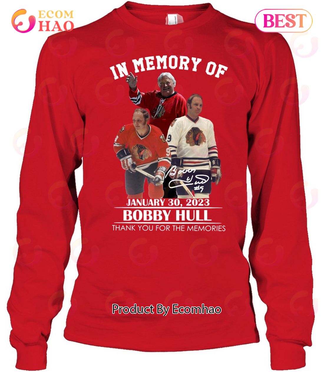 In Memory Of January 30, 2023 Bobby Hull Thank You For The Memories T-Shirt