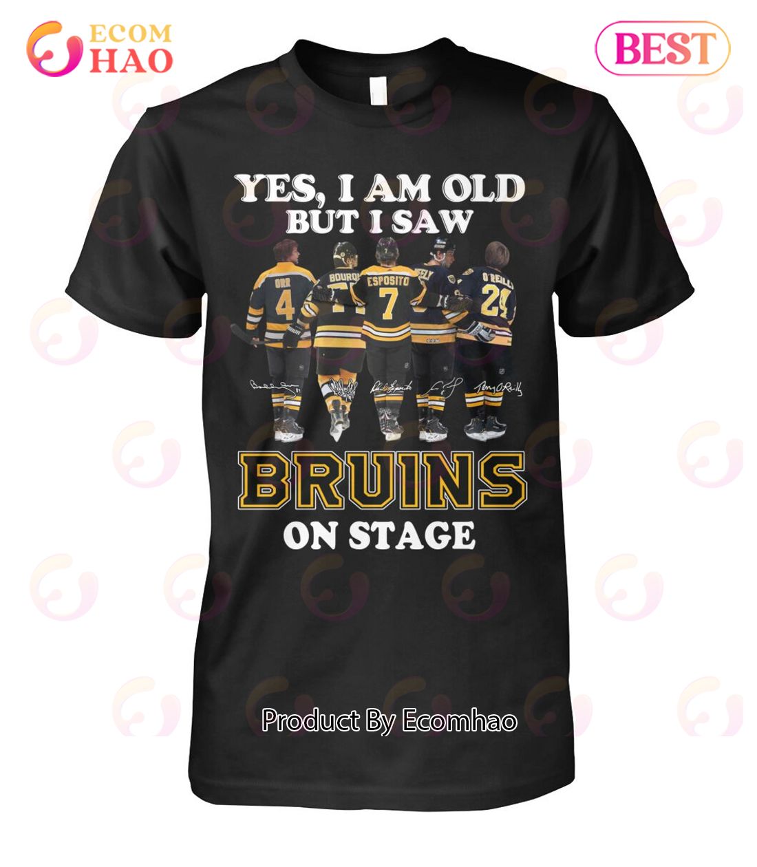 Yes, I Am Old But I Saw Bruins On Stage T-Shirt