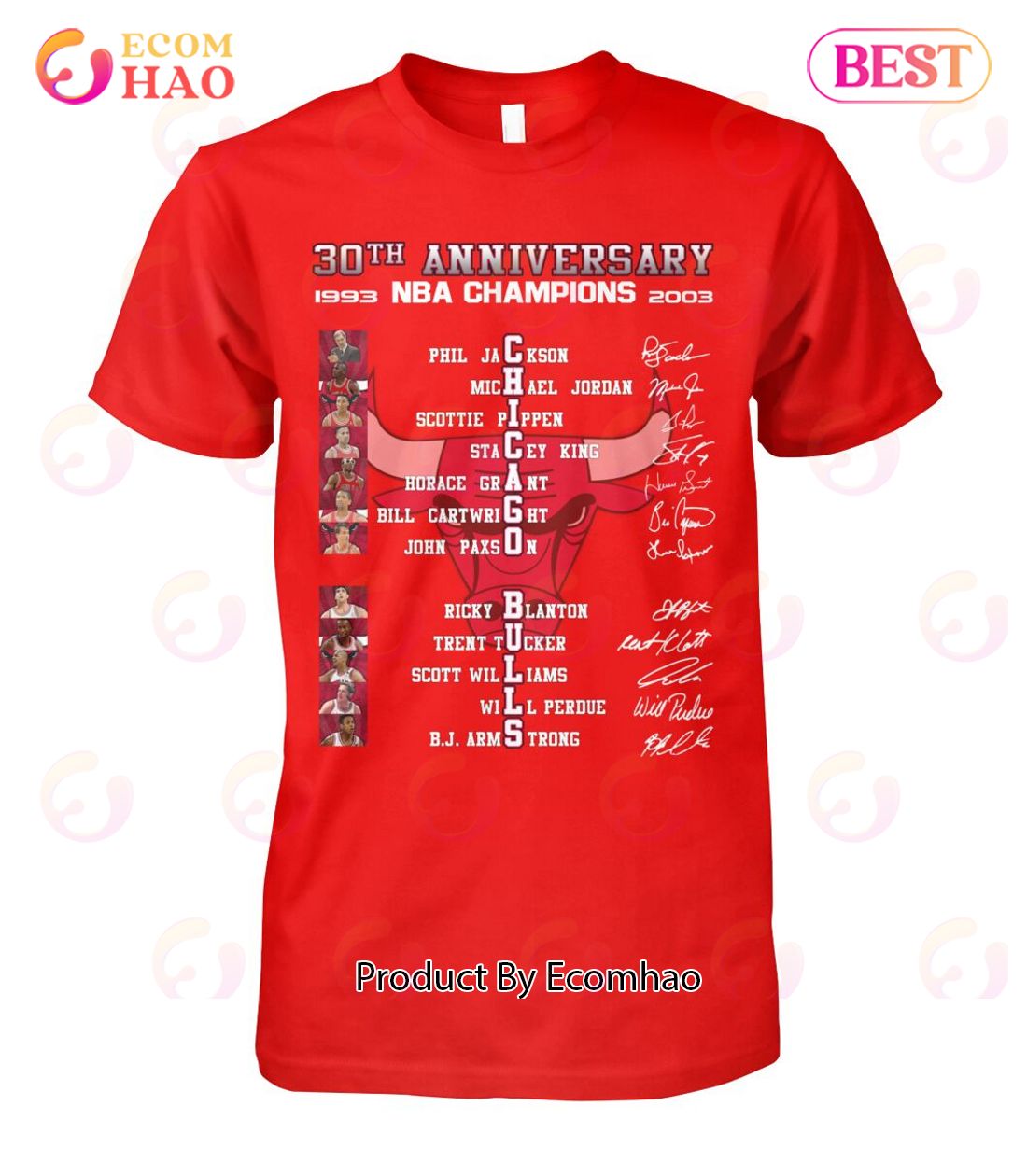 30th Anniversary NBA Champions Chicago Bulls T-Shirt