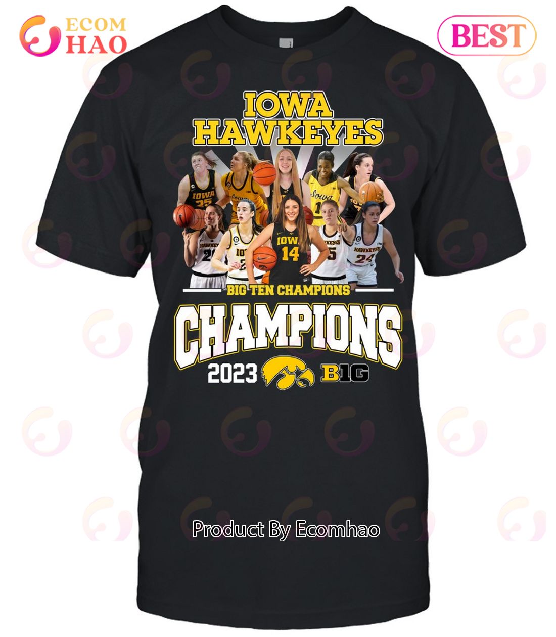 Iowa Hawkeyes Big Ten Champions 2023 T-Shirt