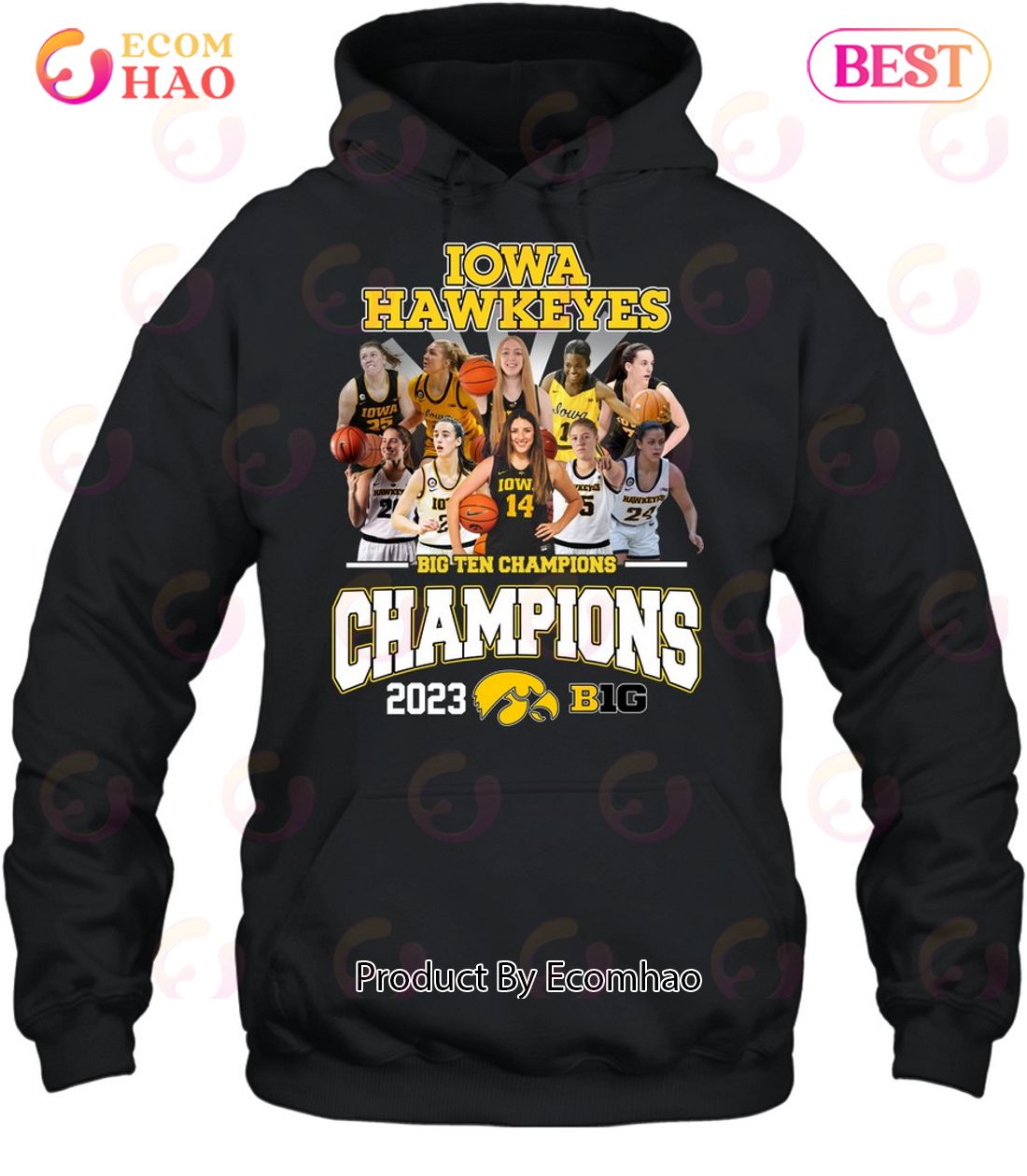 Iowa Hawkeyes Big Ten Champions 2023 T-Shirt