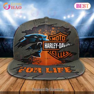 NFL Carolina Panthers Baseball Cap Perfect Gift