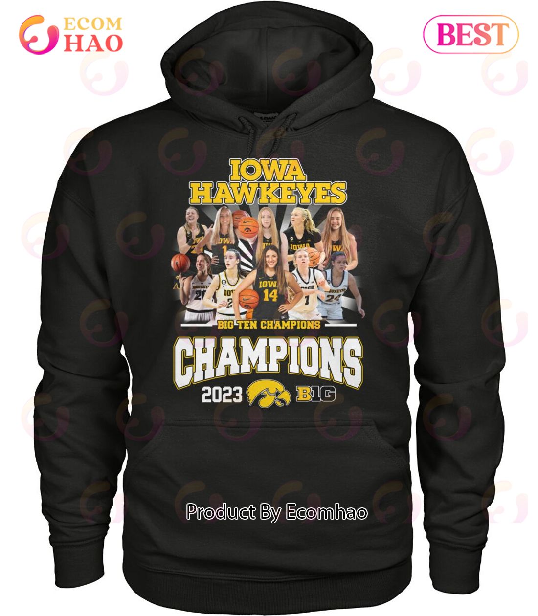 Iowa Hawkeyes Bigten Champions 2023 T-Shirt