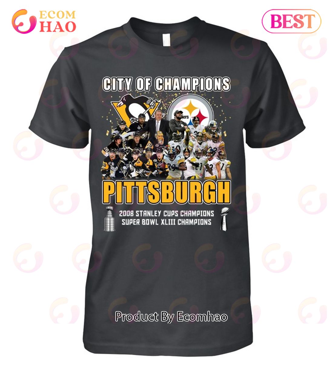 City Of Champions Pittsburgh 2008 Stanley Cups Champions Super Bowl ...