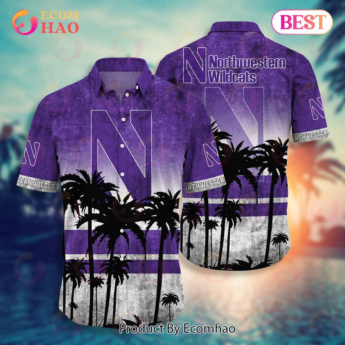 Northwestern Wildcats Hawaii Shirt Short Style Hot Trending Summer