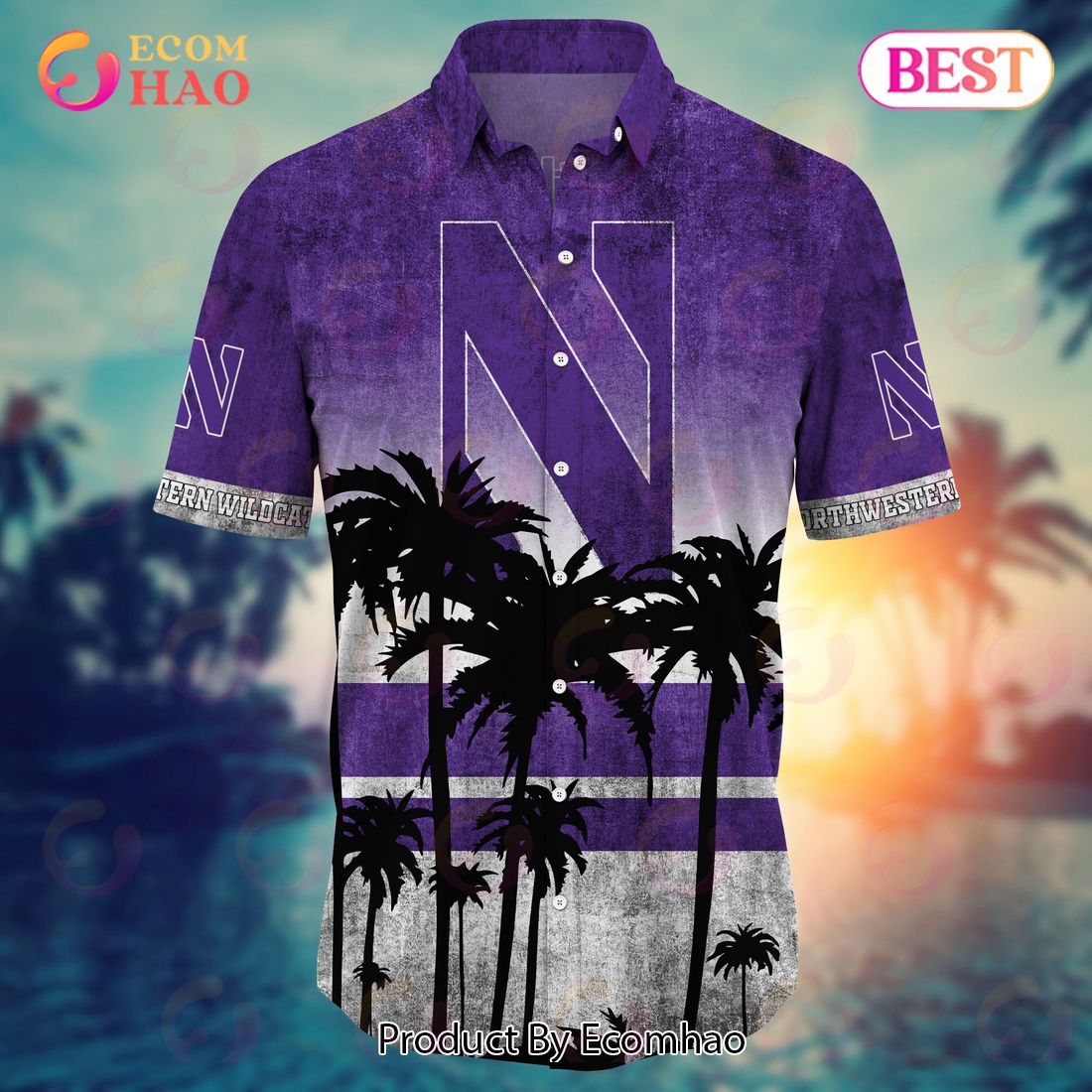 Northwestern Wildcats Hawaii Shirt Short Style Hot Trending Summer