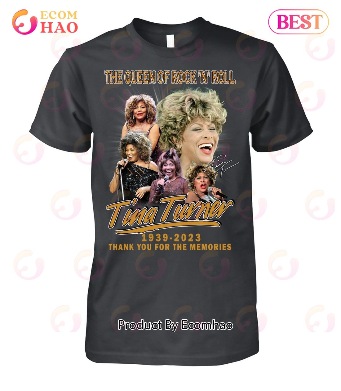 The Queen Of Rock ‘N’ Roll Tina Turner 1939 – 2023 Thank You For The Memories T-Shirt