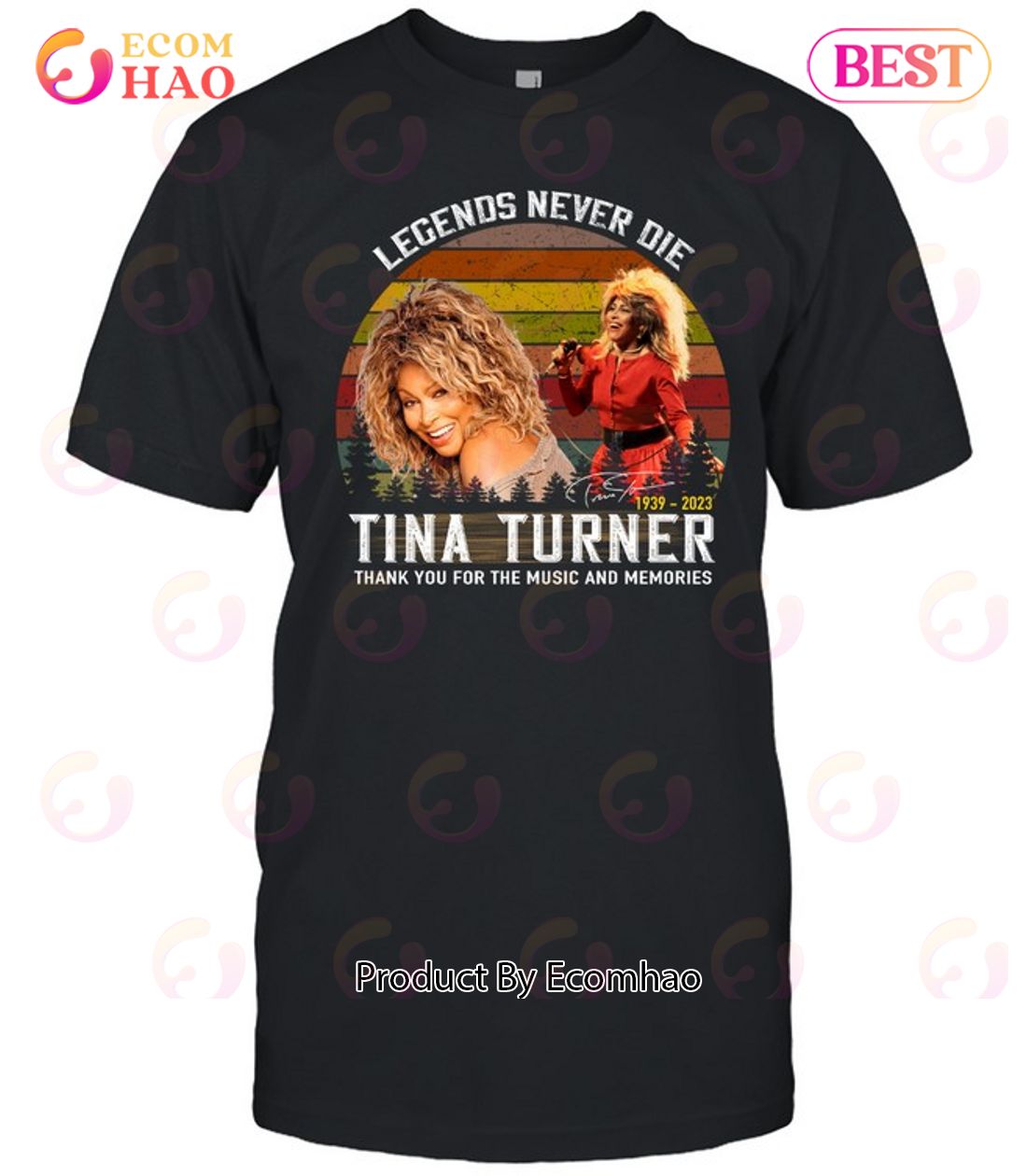 Legends Never Die Tina Turner Thank You For The Memories T-Shirt