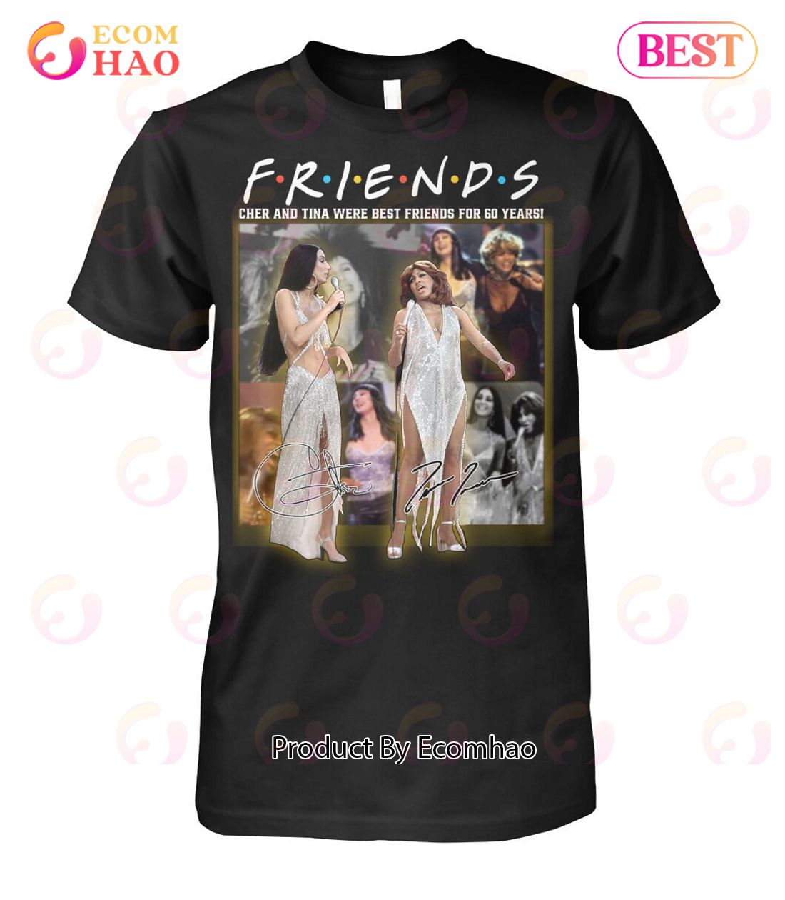 Friends Cher And Tina Were Best Friends For 60 Years T-Shirt