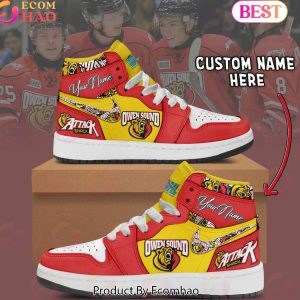 OHL Owen Sound Attack Air Jordan 1