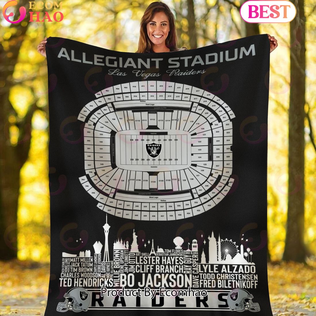 NFL Las Vegas Raiders Football Legend Stadium Blanket