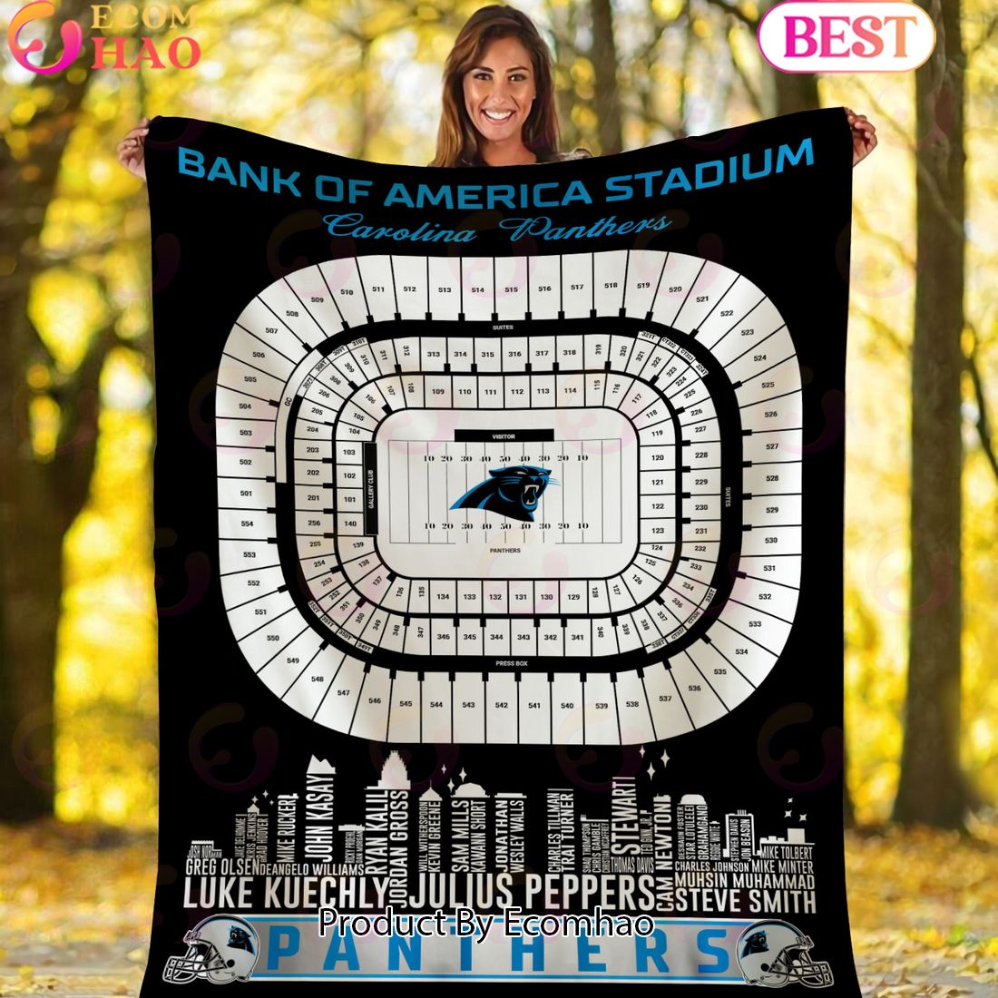 NFL Carolina Panthers Football Legend Stadium Blanket